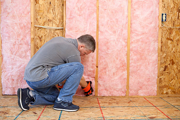 Best Eco-Friendly Insulation in Fort Dix, NJ